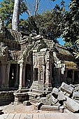 Ta Prohm temple - silk-cotton trees rising over the ruins